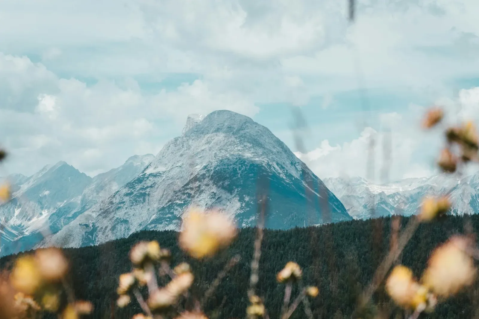 A mountain summit standing clear above the cloud line, wildflowers in the foreground